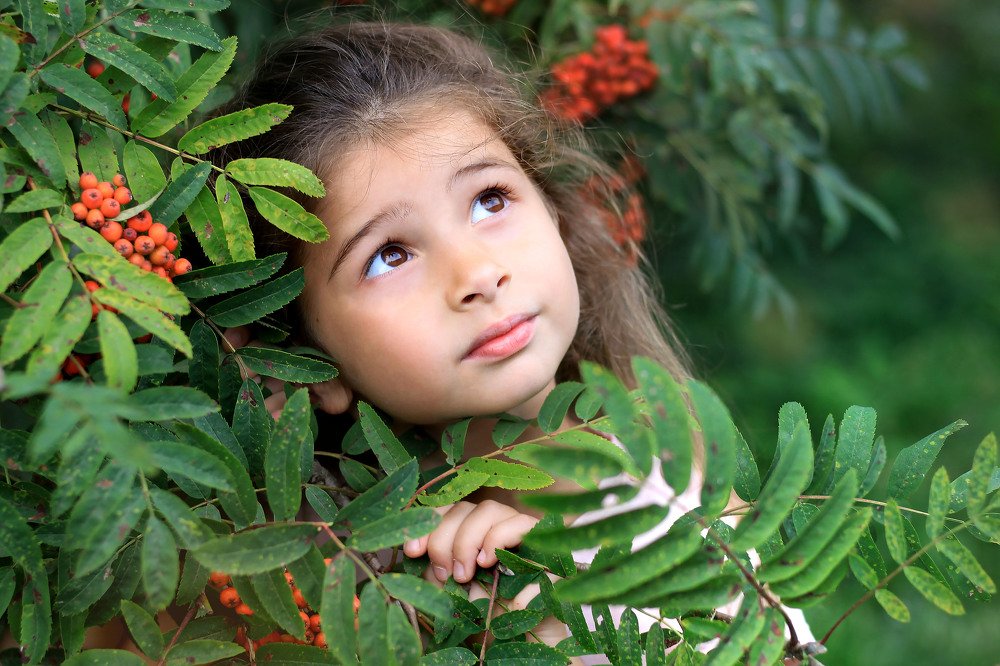 Photograph by Юлия Уяныкча