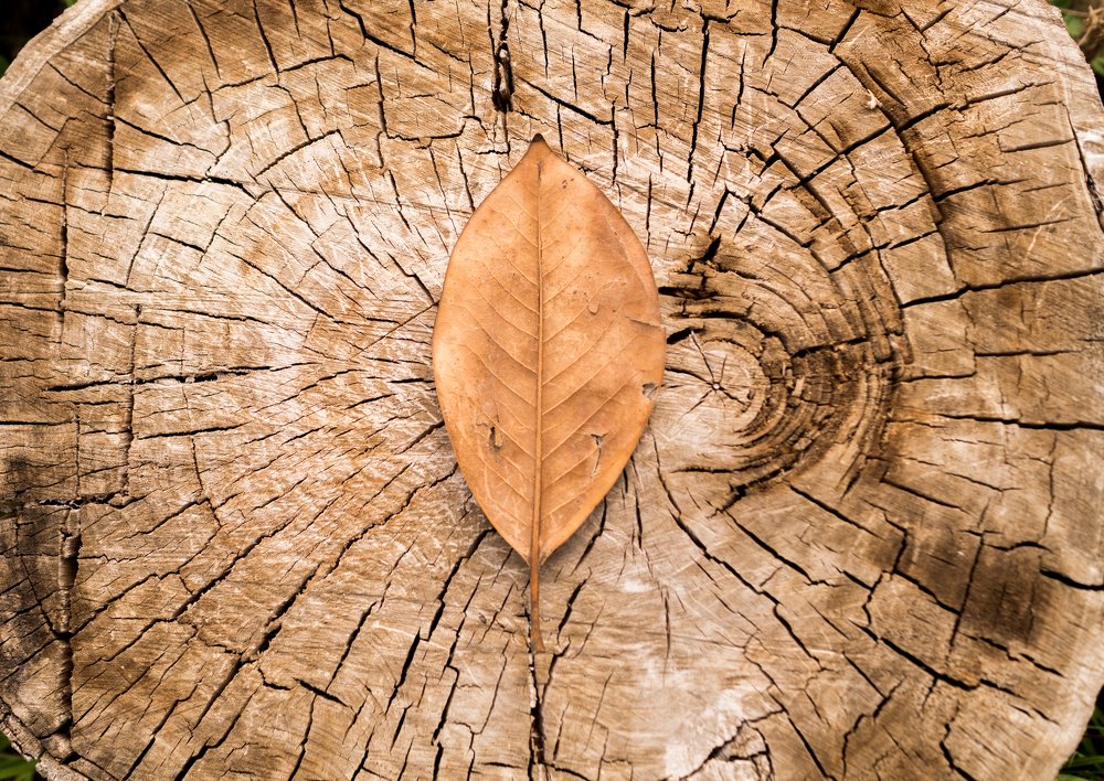 Photograph by Алексей Музалевский