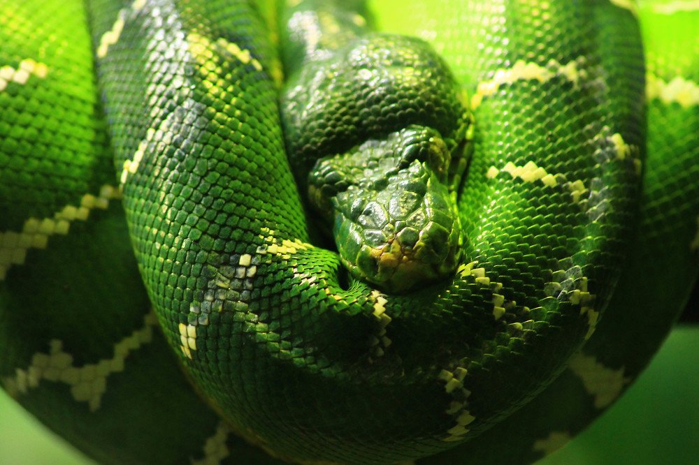 Photograph by Татьяна Бирюкова