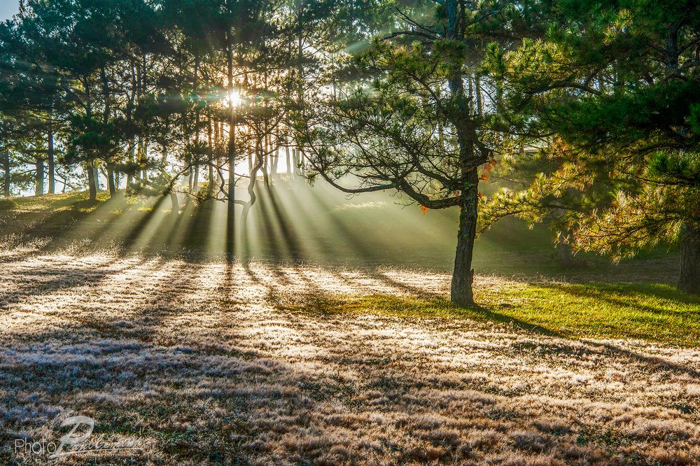 Photograph by Lê Minh