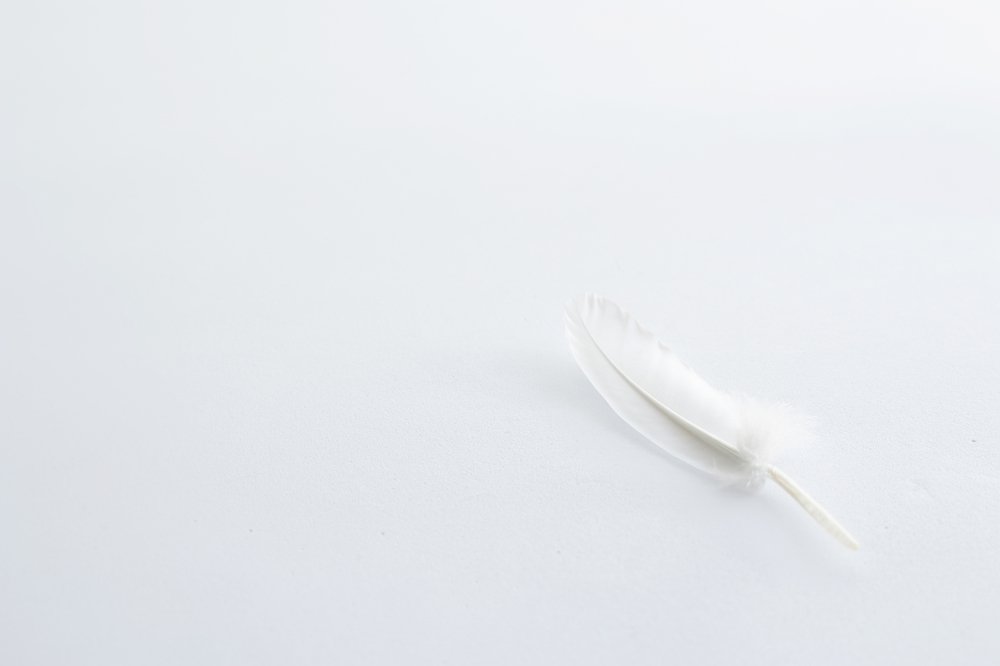 Photograph by Laura García