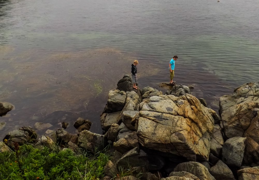 Photograph by Виктор Сёмушкин