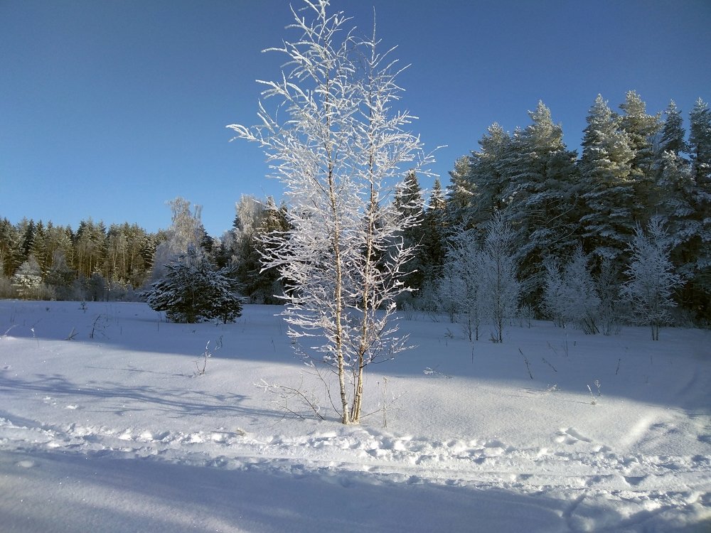 Photograph by Владимир Зверев