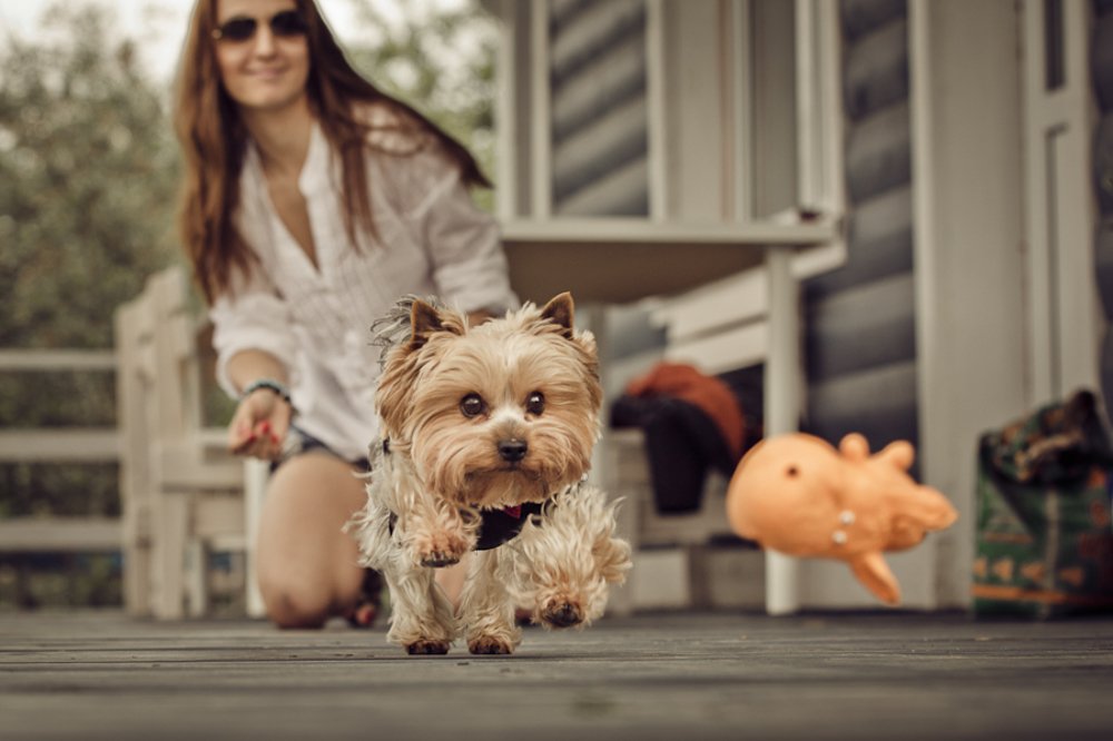 Photograph by Дуюнов Максим