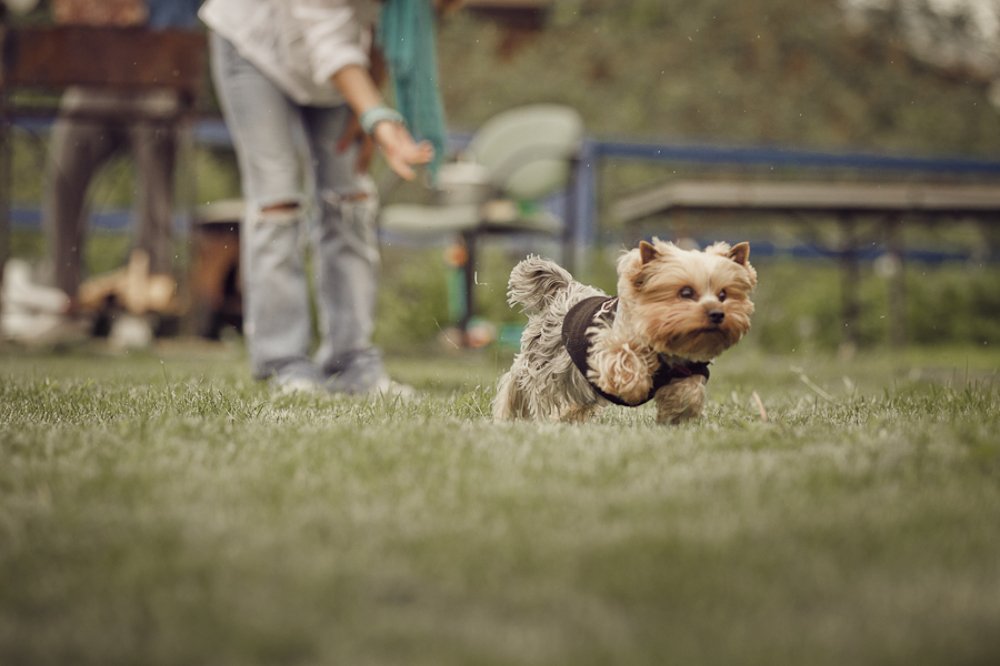 Photograph by Дуюнов Максим