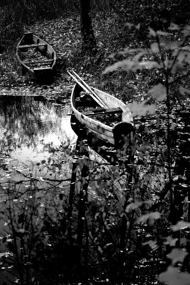 Photograph by Dzintra Zvagina