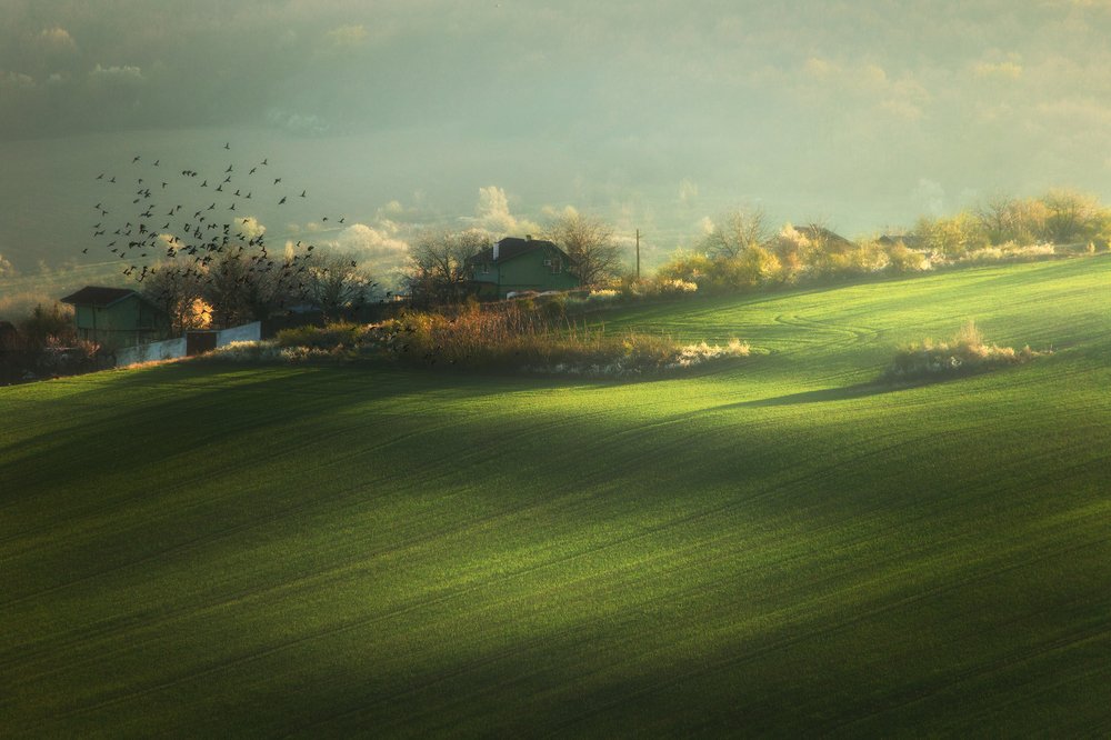 Photograph by Lyuboslav