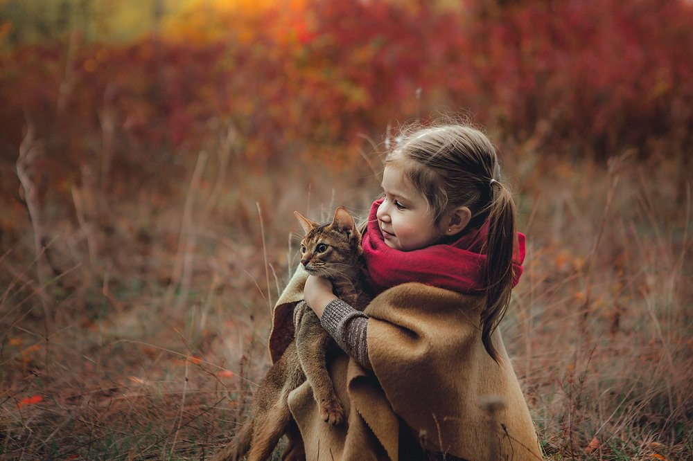 Photograph by Инна Романова