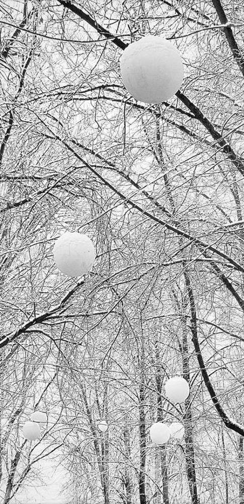 Photograph by Михаил Малец