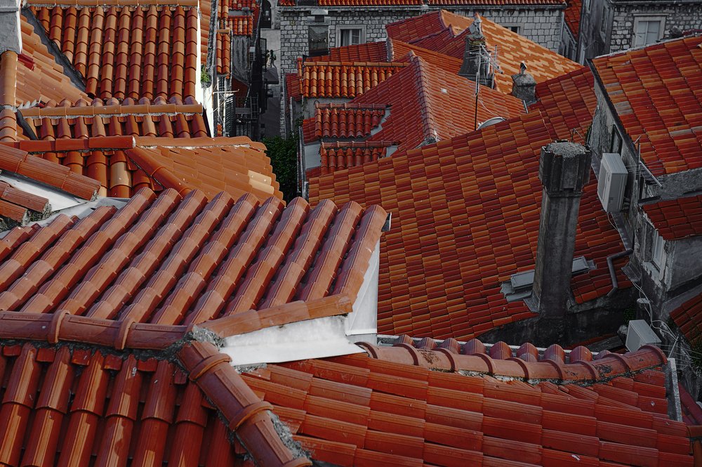 Photograph by Irina Grigoryeva