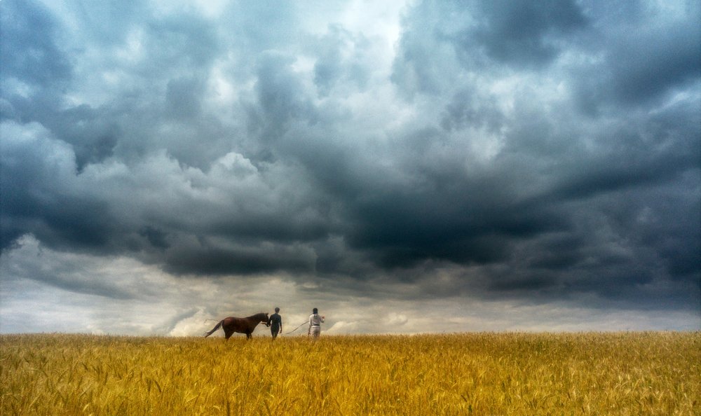 Photograph by Андрей Степанец