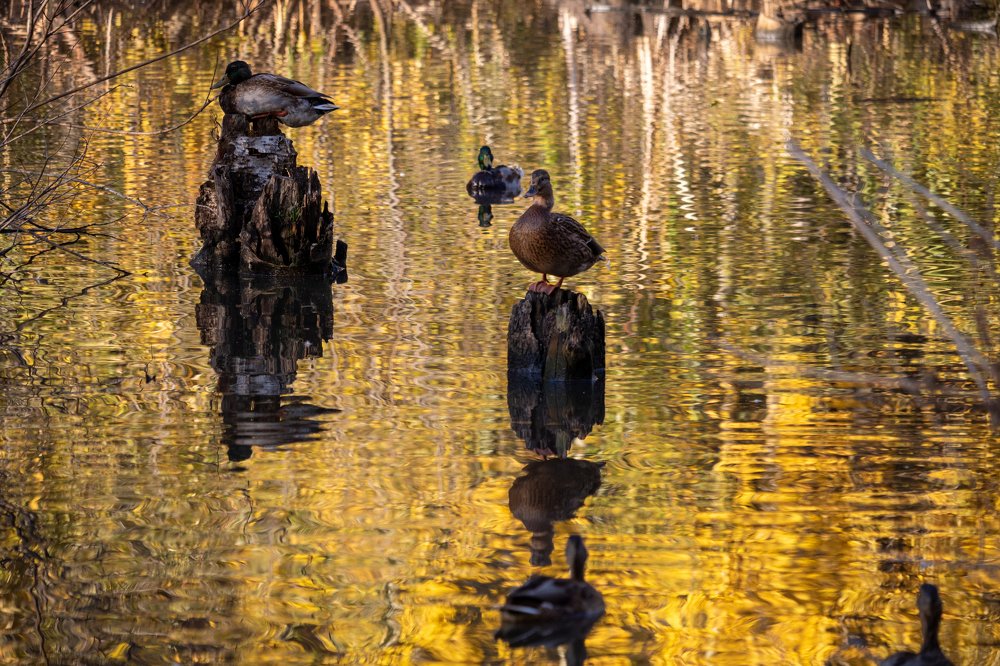 Photograph by Александр Лунин