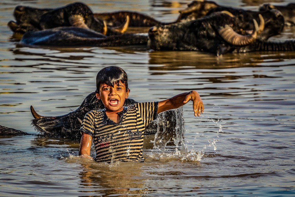 Photograph by Ahmzaad reza Maddah