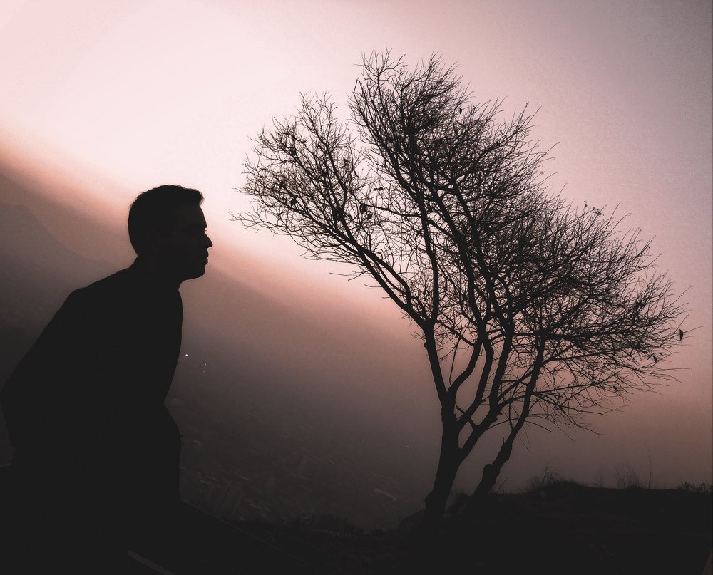 Pink winter in the hill