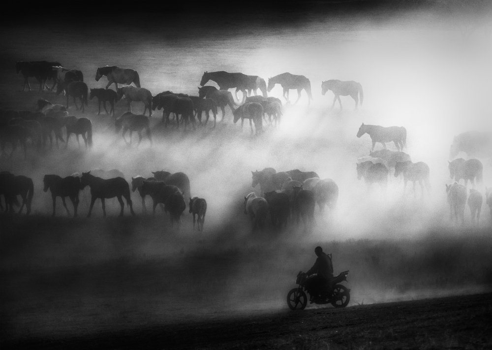 Photograph by Kok Tien Sang