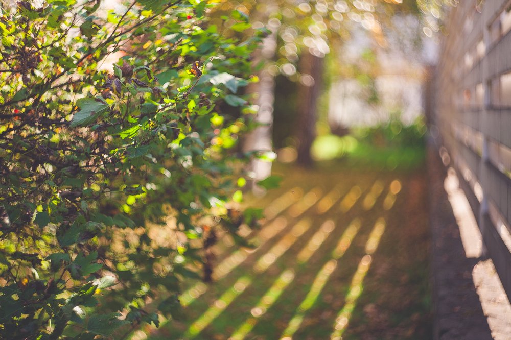 Photograph by estelar