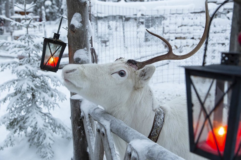 Photograph by Анна Кныш