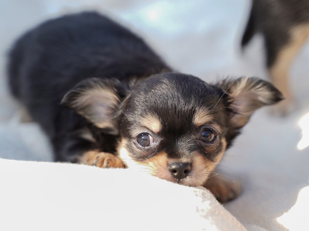 Photograph by Анастасия Абрамова