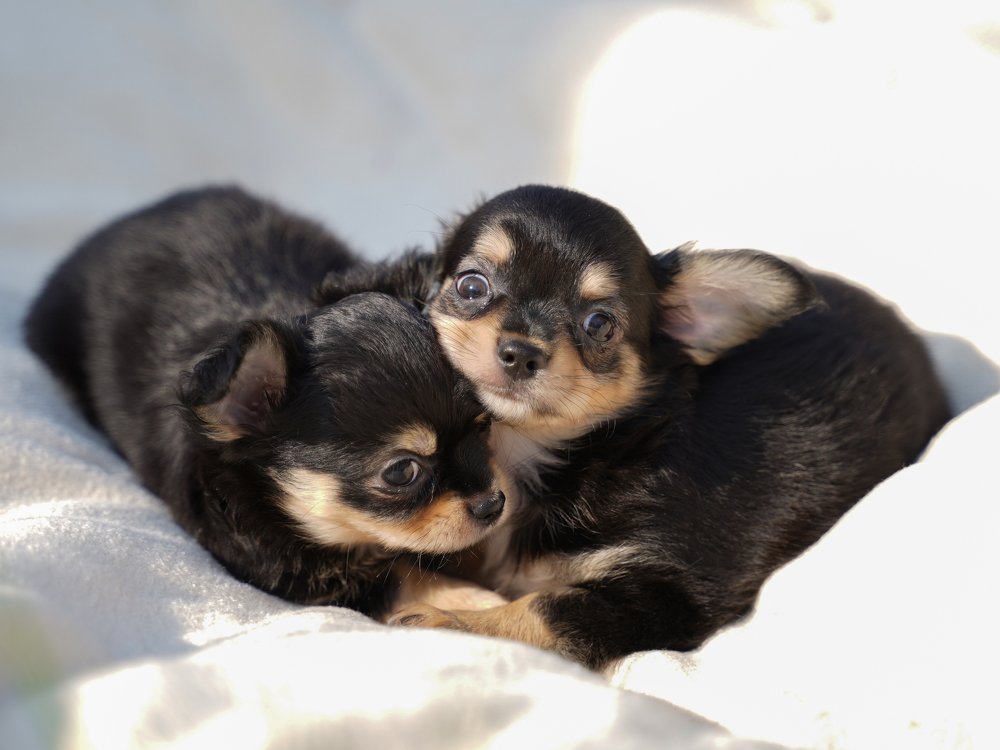 Photograph by Анастасия Абрамова