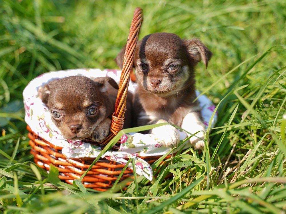 Photograph by Анастасия Абрамова