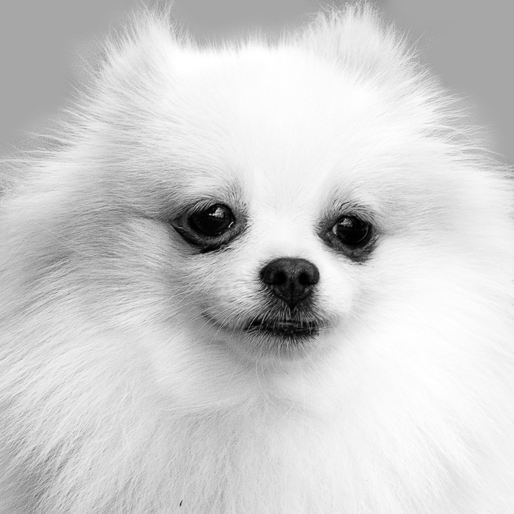 Белое облачко