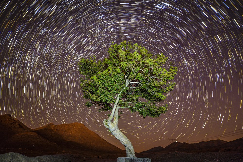 Photograph by  Reza Mohammadi