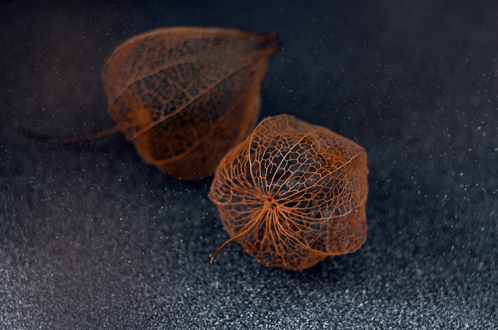 Photograph by Аликина Татьяна