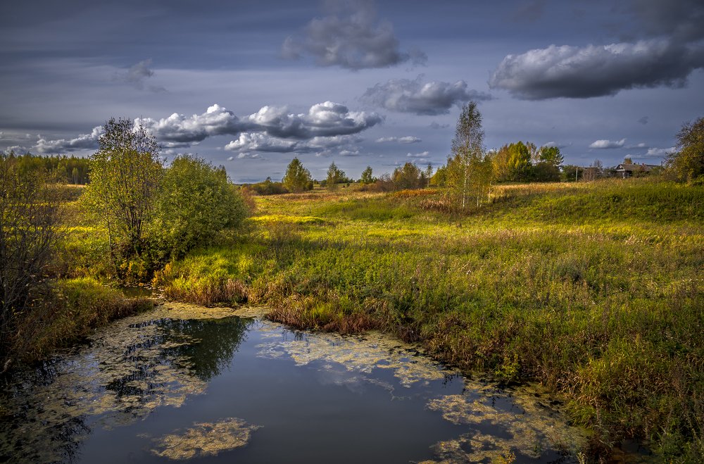 Сельская зарисовка