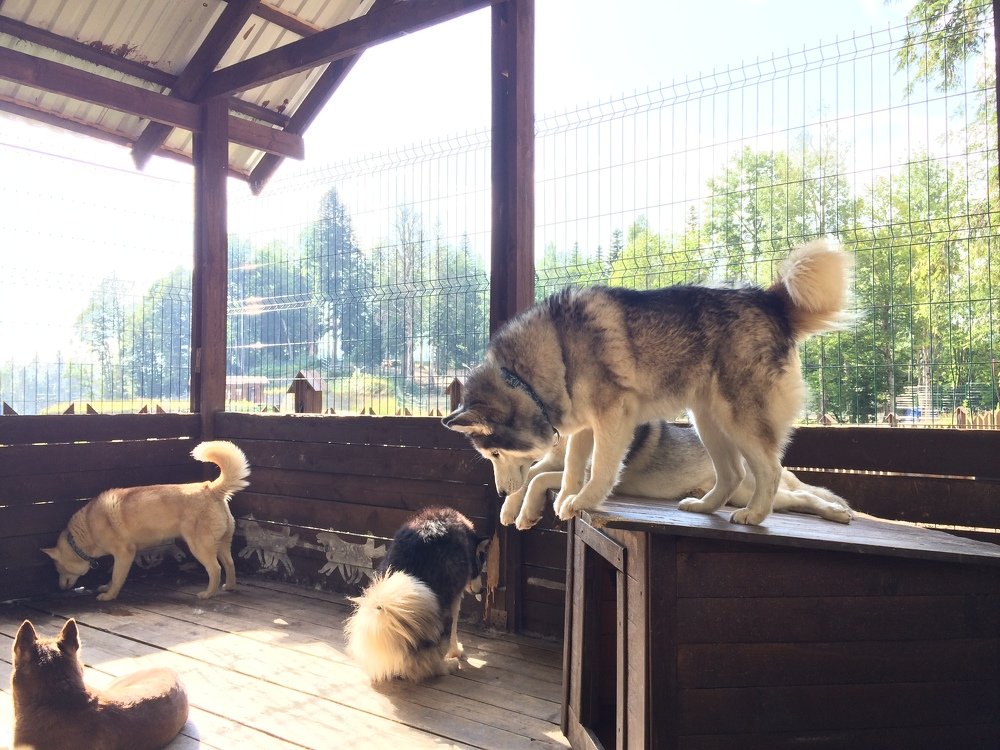 Photograph by Анастасия Савкова