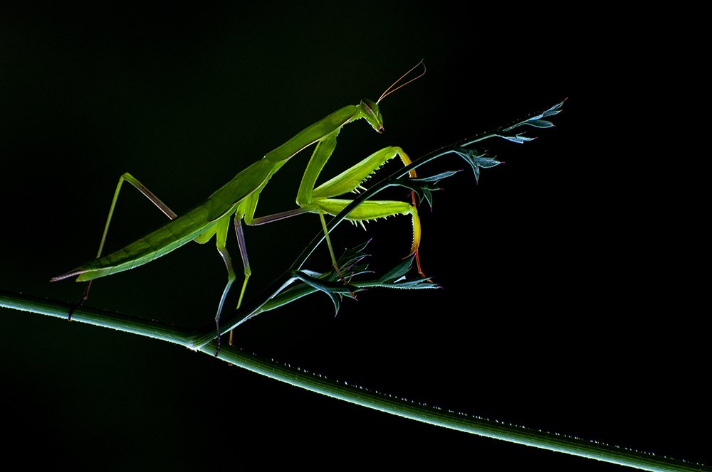 Фотография автора Fikriye Er