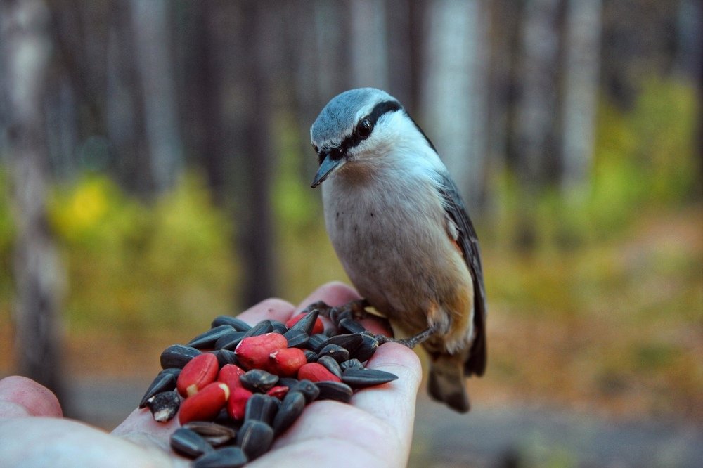 Photograph by Анна Киселёва