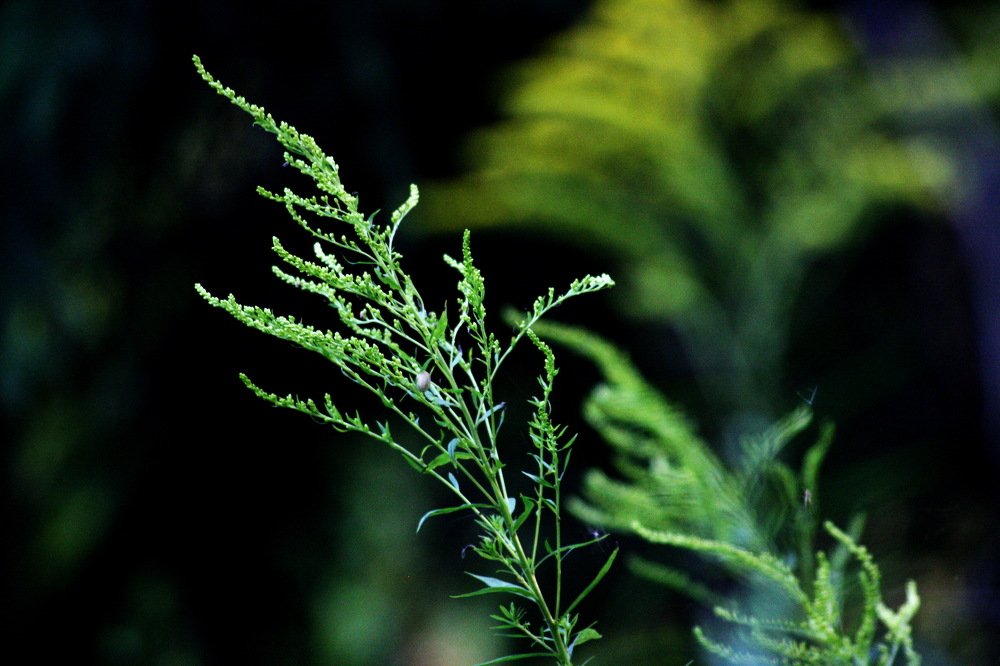 Photograph by Вадим Беляев