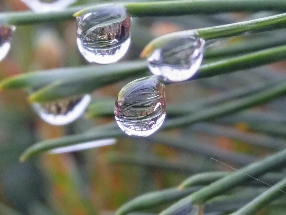 Photograph by Денис Лащ