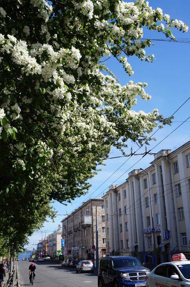 Photograph by нина кутчиева