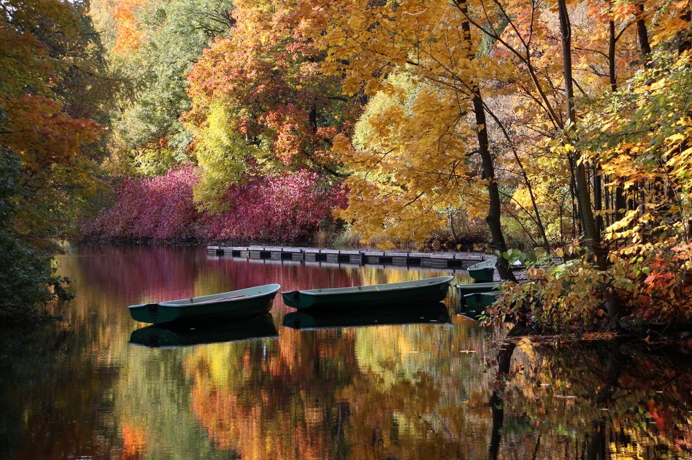 Photograph by Валентина