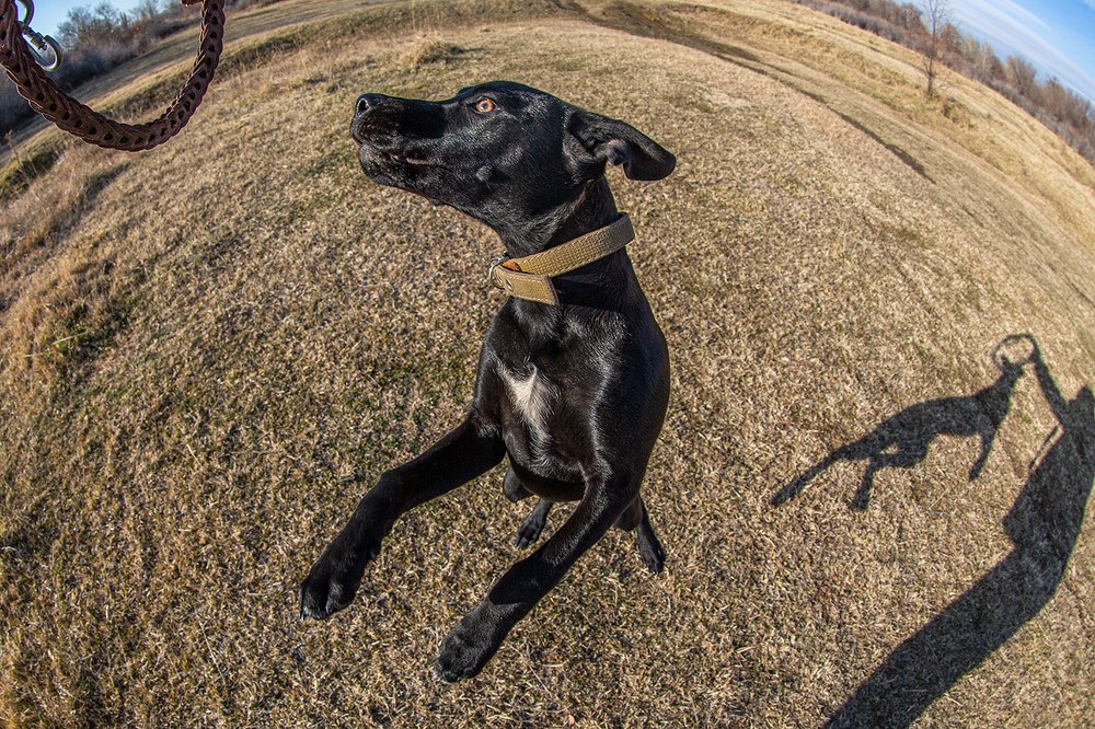 Фотография автора Владимир Пронин