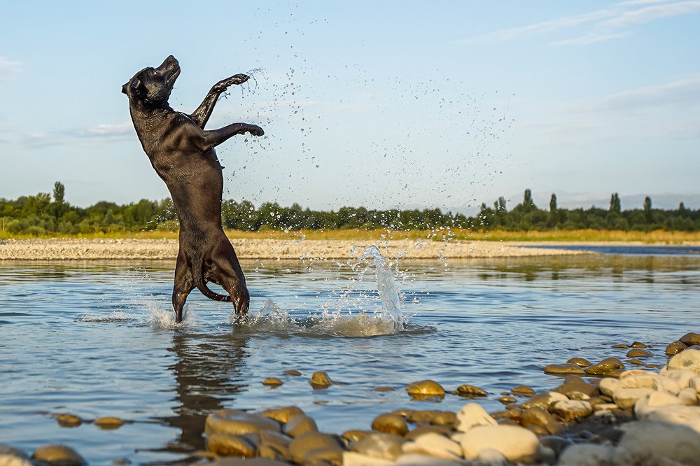 Photograph by Владимир Пронин