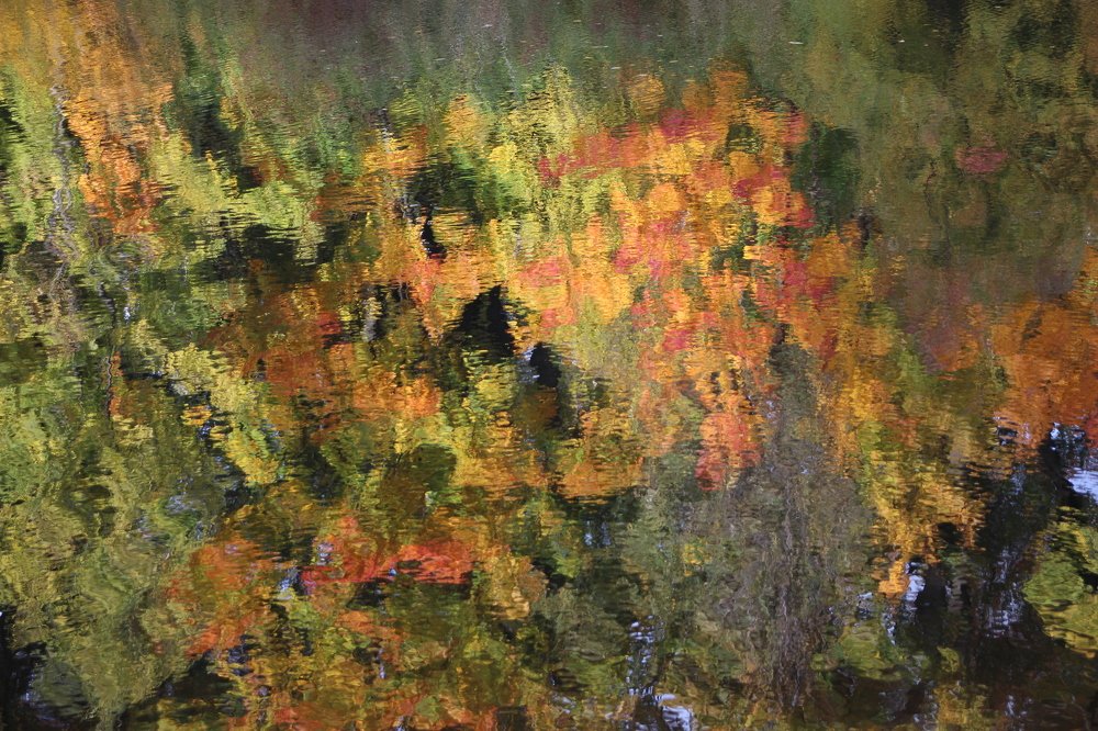 Photograph by Валентина