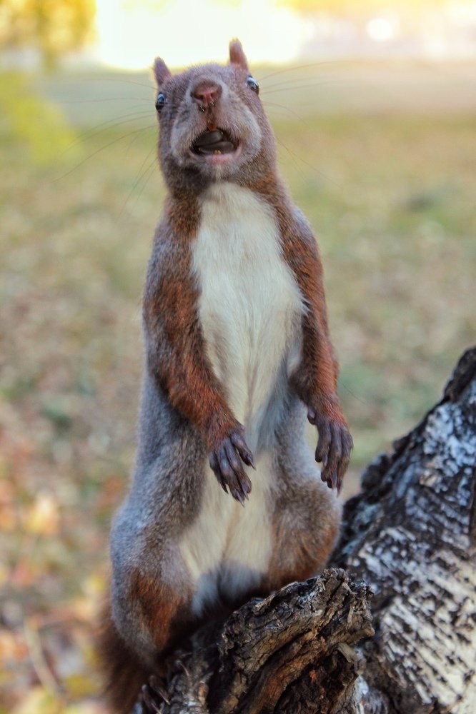 Photograph by Анна Киселёва