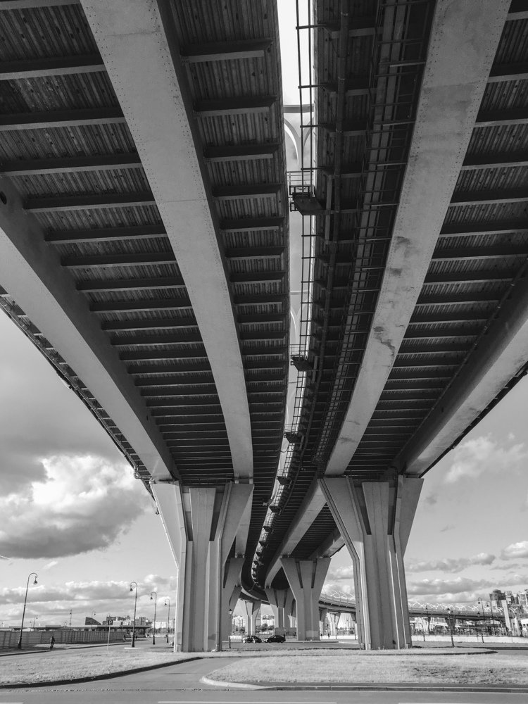 Фотография автора Юлия Сашина