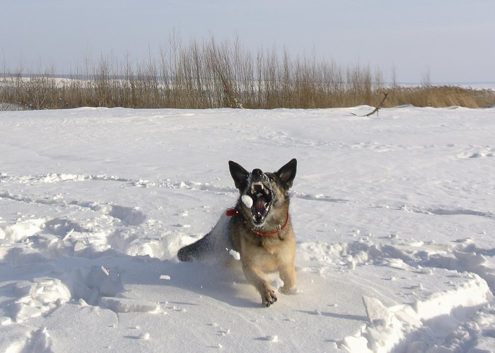 Photo #3700311