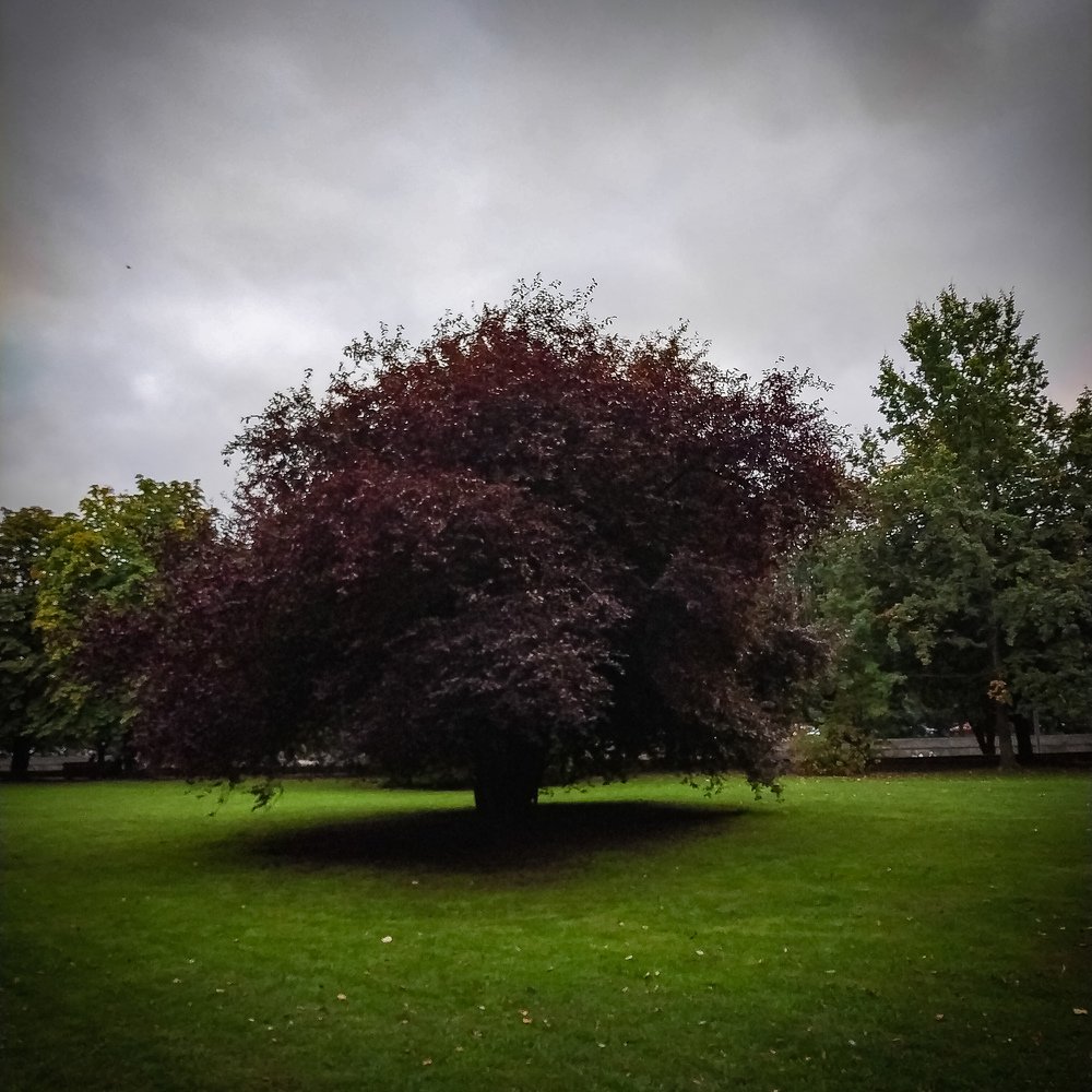 Photograph by Зачепило Евгений