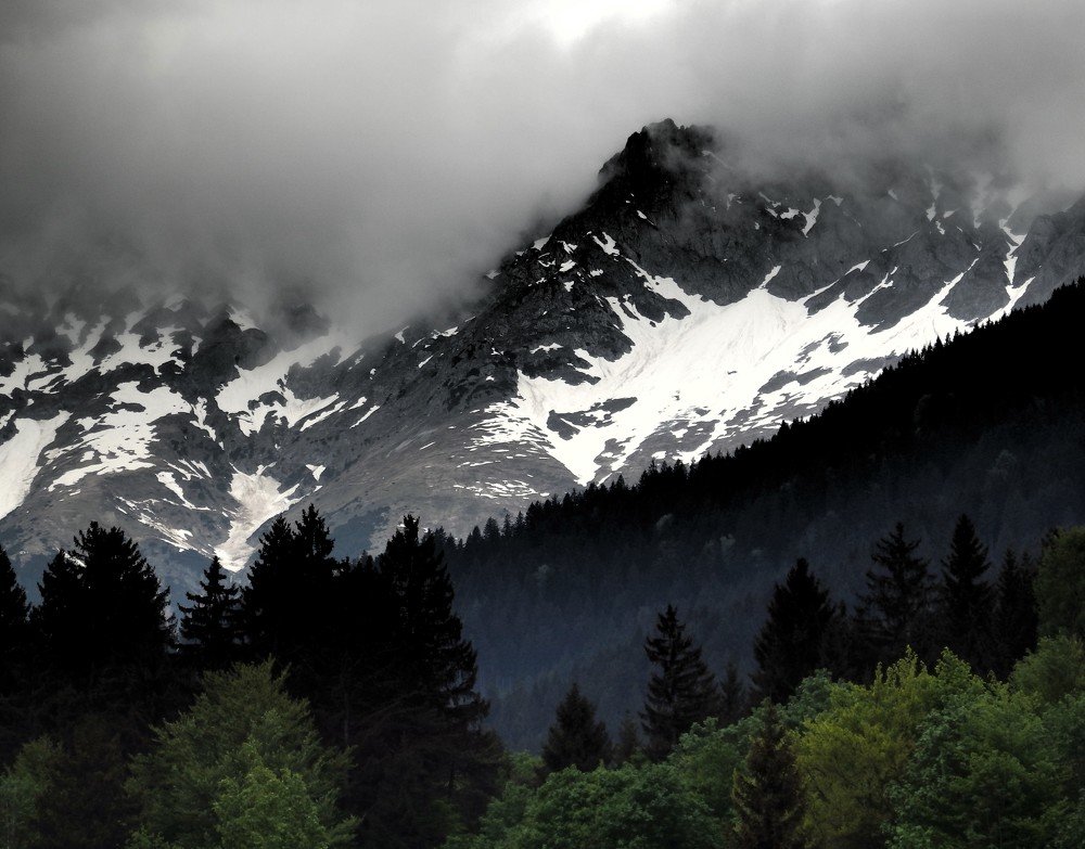 Фотография автора Tiia Vissak