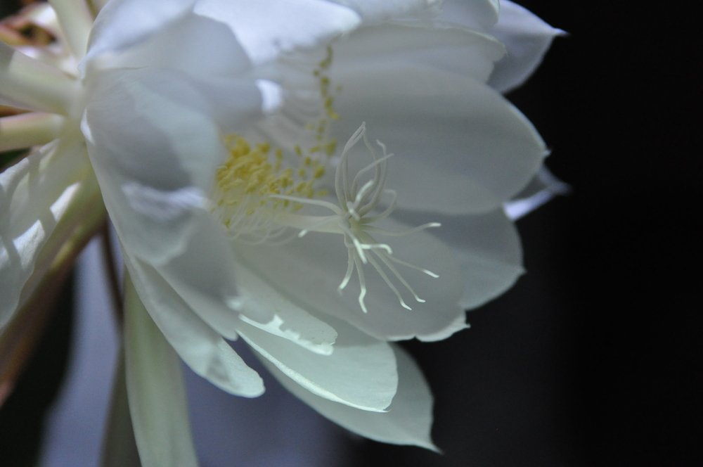 Photograph by Харис Шахмаметьев