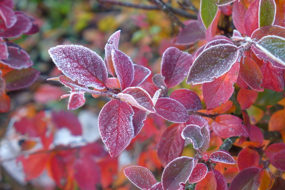 Photograph by Харис Шахмаметьев