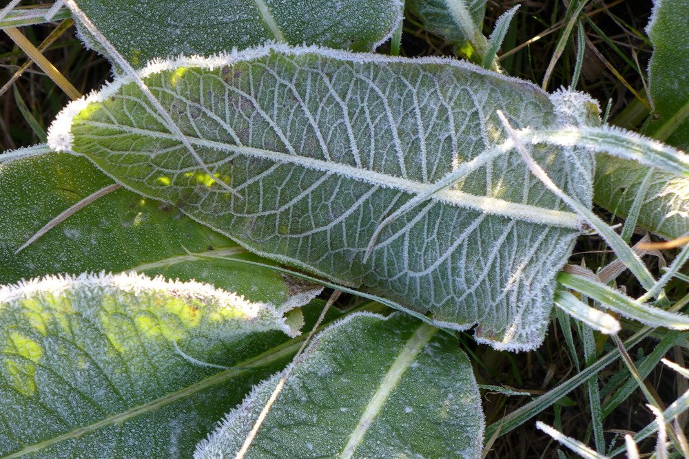 Photograph by Харис Шахмаметьев