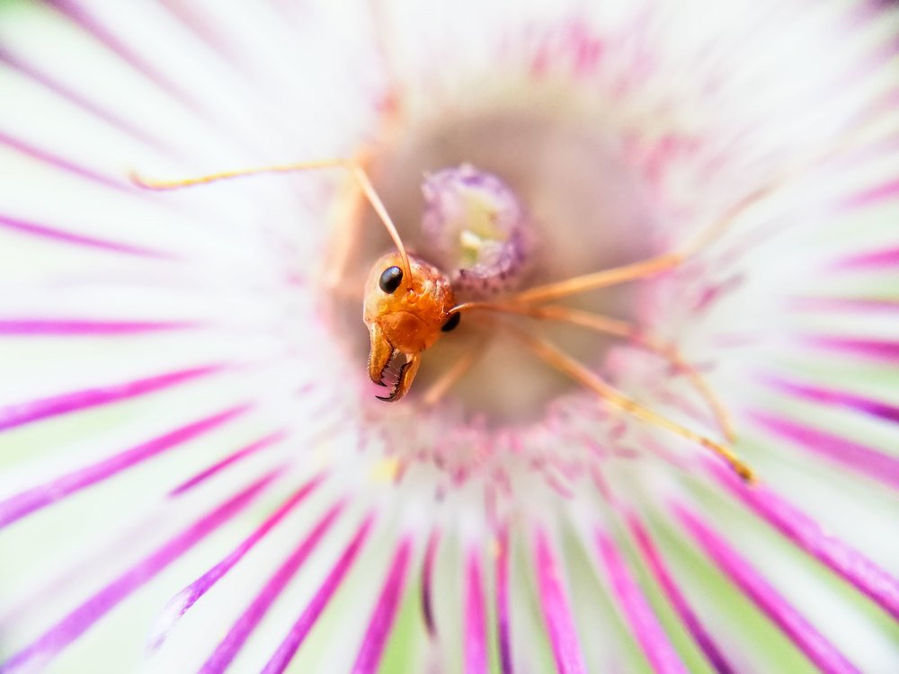 Photograph by Channal Sean