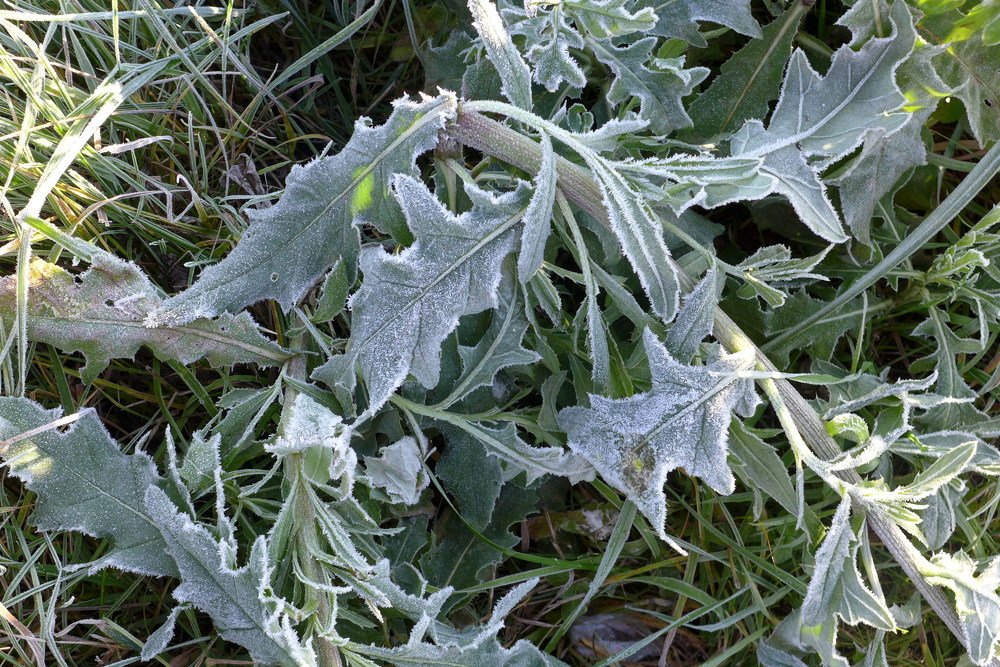 Photograph by Харис Шахмаметьев