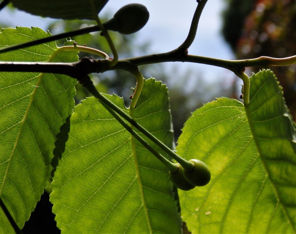 Фотография автора Tiia Vissak