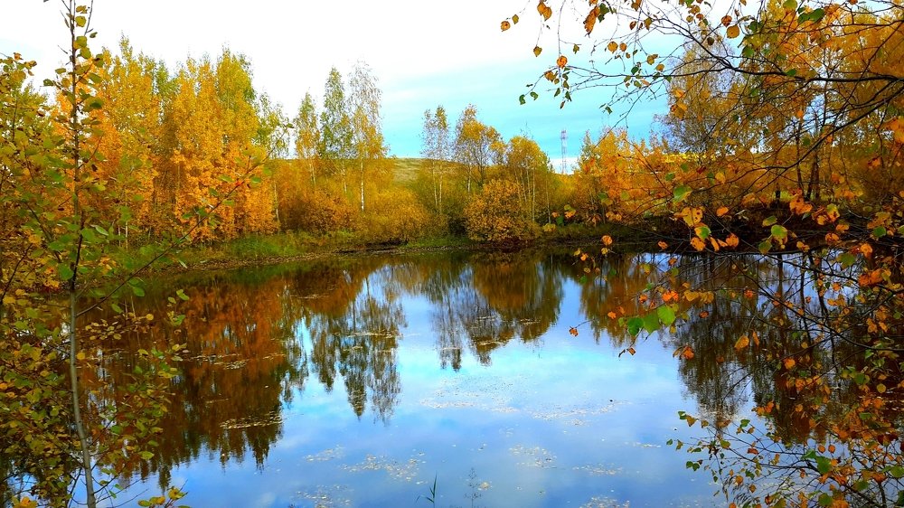 Photograph by Борис Каширин